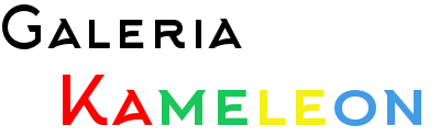 Galeria Kameleon – blog o produktach i e-commerce